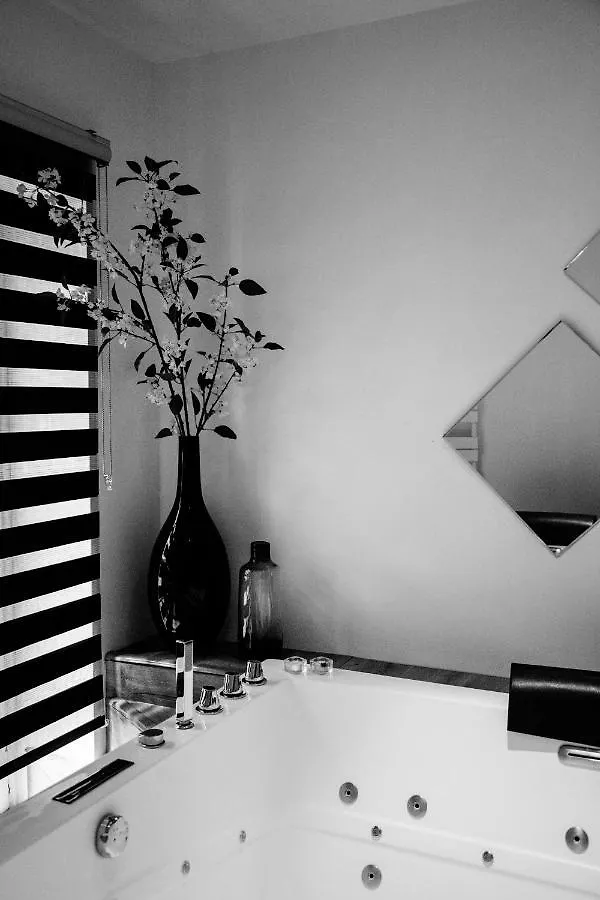 Les Nebuleuses Apartment Lyon